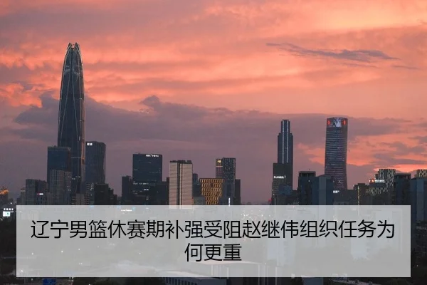 辽宁男篮休赛期补强受阻赵继伟组织任务为何更重