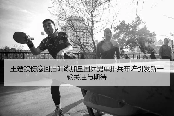 王楚钦伤愈回归训练加量国乒男单排兵布阵引发新一轮关注与期待